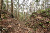 紀伊 高田古城山城の写真