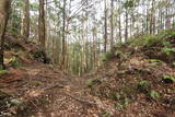 紀伊 高田古城山城の写真