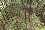 紀伊 高田古城山城の写真