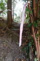 紀伊 高幡山城の写真