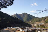 紀伊 高幡山城の写真