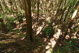 紀伊 寺中城の写真