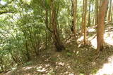 紀伊 寺中城の写真