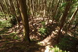 紀伊 寺中城の写真