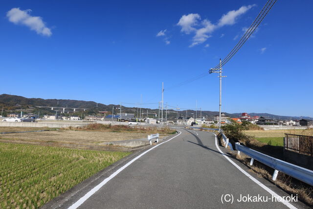 紀伊 東城の写真