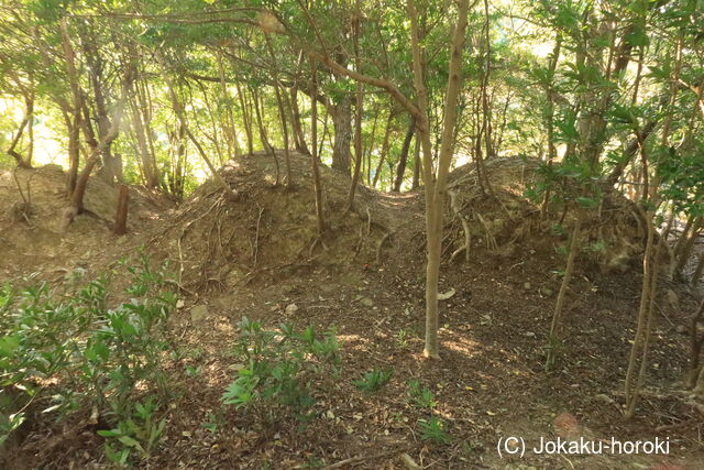 紀伊 高瀬要害山城(馬谷城)の写真