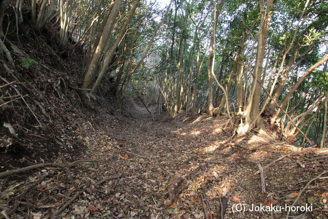 紀伊 虎松山城の写真