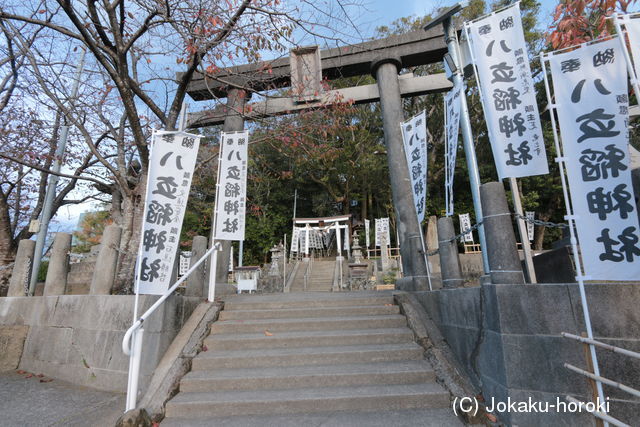 紀伊 上野山城の写真