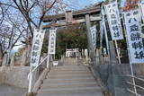 紀伊 上野山城の写真