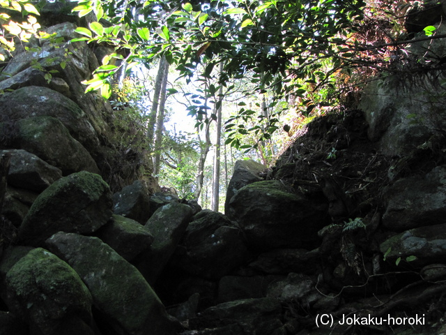 紀伊 後山城の写真