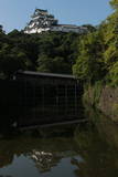 紀伊 和歌山城の写真