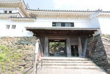 紀伊 和歌山城の写真
