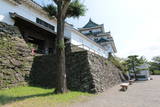 紀伊 和歌山城の写真