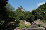 紀伊 和歌山城の写真