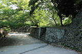 紀伊 和歌山城の写真