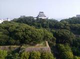 紀伊 和歌山城の写真