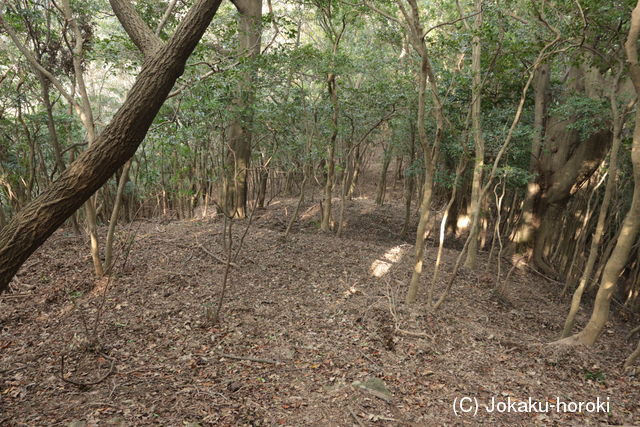 紀伊 山城城の写真