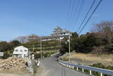 紀伊 湯浅城の写真