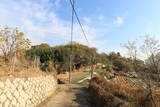 韓国 安骨浦倭城の写真