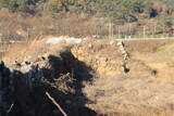 韓国 天城鎮城の写真