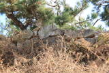 韓国 加徳倭城の写真