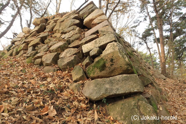 韓国 金海竹島倭城の写真