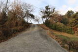 韓国 金海竹島倭城の写真