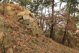 韓国 金海竹島倭城の写真