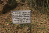 韓国 金海竹島倭城の写真