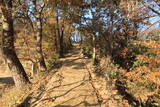 韓国 亀浦倭城の写真