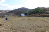 韓国 旧永登城の写真
