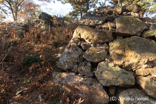 韓国 明洞倭城Aの写真
