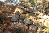 韓国 明洞倭城Aの写真