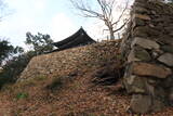 韓国 釜山子城台倭城の写真