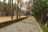 韓国 釜山倭城の写真