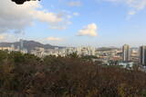 韓国 釜山倭城の写真