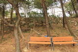 韓国 釜山倭城の写真