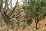 韓国 釜山倭城の写真