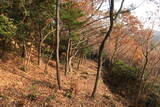 韓国 松真浦倭城の写真