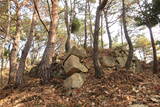 韓国 松真浦倭城の写真