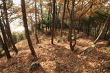 韓国 松真浦倭城の写真