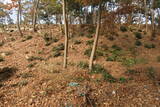 韓国 松真浦倭城の写真