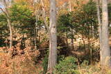 韓国 松真浦倭城の写真