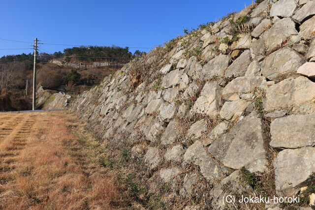 韓国 西生浦倭城の写真