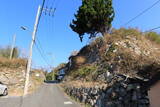 韓国 西生浦倭城の写真