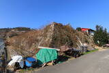 韓国 西生浦倭城の写真