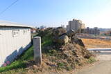韓国 西生浦倭城の写真
