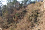 韓国 西生浦倭城の写真