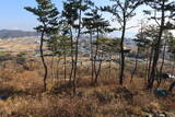 韓国 西生浦倭城の写真
