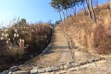 韓国 西生浦倭城の写真